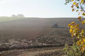 Teren agricol extravilan în apropierea o. Statul Cu Drept De PreempÈiune Nu A CumpÄrat Niciun Teren Profit Ro