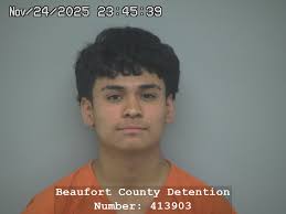 Beaufort SC Mugshots