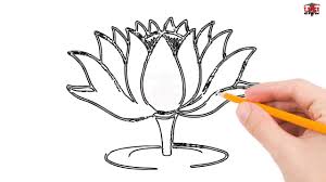 Art lotus flower drawing easy. Lotus Flower Drawing Easy Novocom Top