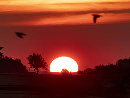 Find 77 ways to say hot weather, along with antonyms, related words, and example sentences at thesaurus.com, the world's most trusted free thesaurus. France Put On Hot Weather Alert As Heatwave Reaches Europe