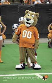 Me as leo the lion bc lions. Leo The Lion Bc Lions Mascot Sports Lions Football Mascot