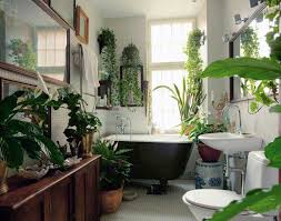 Place a potted fern in the corner of your bathroom or, if. Use Bathroom Plants To Brighten Up Your Space Latika Beauty