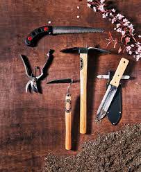 Pin On Gardening