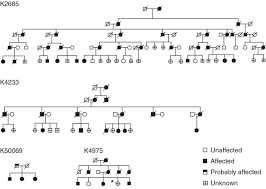 Pedigree Charts Of Adld Families See Results Section For