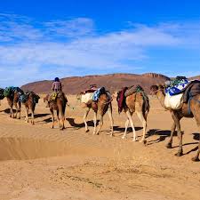 How long would it take to travel 2,000 miles going approximately 50 mph? Morocco Trip Reviews Feedback From Travellers On Our Morocco Tours Morocco Holidays Morocco On The Go Tours