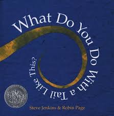 Cuddle N Read Blog A Blog Designed By A Reading Specialist To Give Parents Of Pk 2 Children Ideas On Books To Math Books Steve Jenkins Reading Specialist