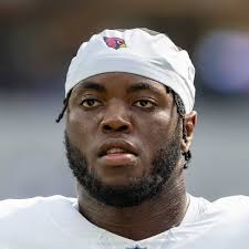 Revenge of the Birds Archives