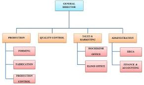 Organization Chart Nippon Steel Spiral Pipe Vietnam Co Ltd