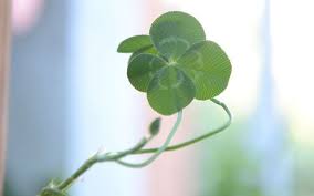 Can anyone tell me the origins of this notion that bad luck comes in threes? Good And Bad Luck Signs From Irish Folklore