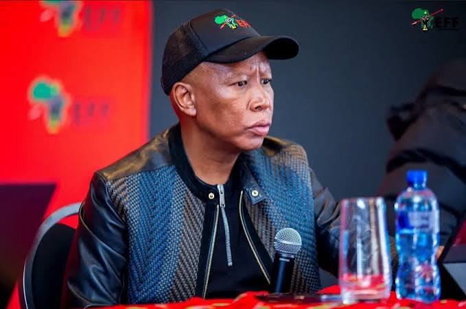 Malema denies role in plot to oust former intelligence inspector-general - News - The Namibian