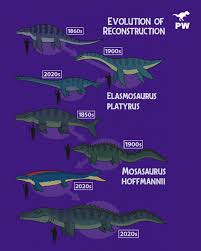 Image result for Elasmosaurus