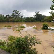 Diposting oleh unknown di 09.48. Banjir Di Desa Ciptasari Kecamatan Pangkalan Karawang Dnewsdnews