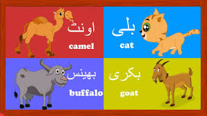 Click the animal to hear its sound, and it's name to. Learn Animal Names In Urdu And More Ø¬Ø§Ù†ÙˆØ± Ú©Û' Ù†Ø§Ù… Urdu Kids Rhymes Co Rhymes For Kids Rhymes Learn English Words