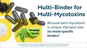 Image result for Mycotoxin