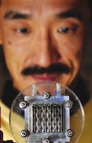 The fuel of the future?