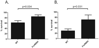 Furr and brother key furr at the kirkland mercantile company in kirkland in. Furr88h Confers A Survival Advantage To H Pylori When Co Cultured With Download Scientific Diagram