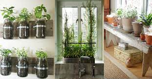 Blog Urban Cultivator