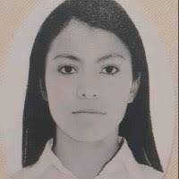 30+ perfiles de «Arlet Flores»