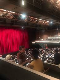 photos at the joyce theater