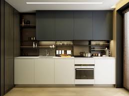 Modern Kitchen With Shelves Instead Of Backsplash In 2019 Small Apartment Kitchen Fruit Kitchen Decor Kitchen Design
