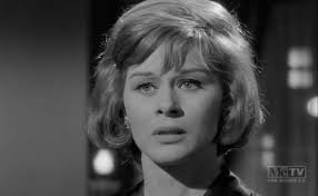 Perry Mason" The Case of the Woeful Widower (TV Episode 1964)