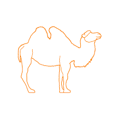 When a large number of camels gather around a drinking hole, some drink while others patiently wait their turn. Bactrian Camel Dimensions Drawings Dimensions Com