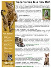 One Page Guide Transitioning To A Raw Diet Raw Diet Cat Nutrition Animal Nutrition