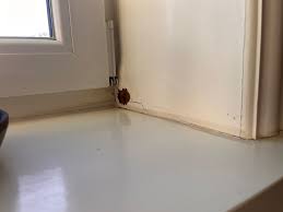 Image result for site:byggahus.se vatteninsläpp