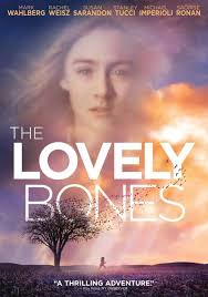 What are the similarities between The Lovely Bones book and movie?