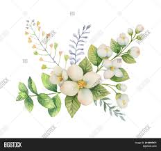 We did not find results for: Watercolor Bouquet Image Photo Free Trial Bigstock