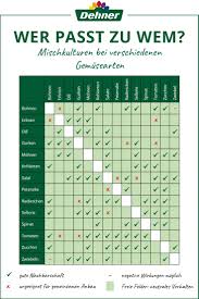 Hier findest du gute und schlechte nachbarn im kräuterbeet. Die Perfekte Gemuse Nachbarschaft Garten Anpflanzen Garten Bepflanzen Kreative Garten Ideen