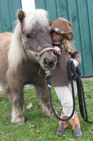 Animals Pinterest Pro Animals Horses Baby Animals