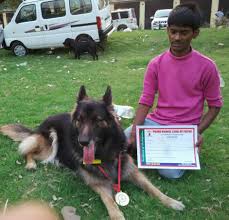 It's also free to list your available puppies and litters on our site. Dog Lovers In Patna Home Facebook