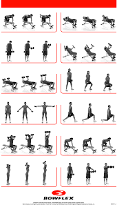 28 Rigorous Bowflex Xtreme 2 Se Workout Chart