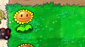 Bonk choy from plants vs zombies coloring page: Sunflower Plants Vs Zombies Wiki Fandom