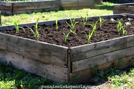 Use pieces of 2x4 in each corner to secure the sides to each other. Diy Pallet Wood Raised Garden Beds