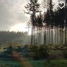 Bedankt Voor Het Delen Van Je Prachtige Foto In Park Allgau Lex Kaempfer Des Herzens Echtevensamen Zegjategenwatertoed Instagram Center Parcs Flowers