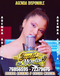 Salay Charango Zapateo Sureños Música variada CyHproducciones