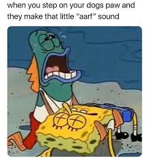 Badgalronnie Funny Relatable Memes Funny Jokes Funny