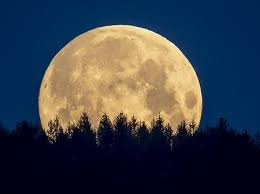 Sayang sekali, kita yang berada di indonesia tidak bisa menyaksikan peristiwa ini secara langsung. Siap Siap Gerhana Matahari Cincin Terjadi 10 Juni