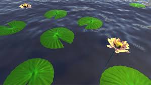 Waterlily In 2020 Lily Pads Water Lilies Hand Painted Textures