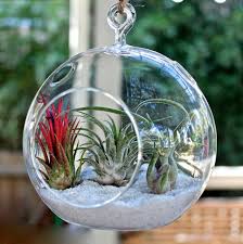 Votive candle holders add drama to any room. Mygift 2 Clear Glass Hanging 4 5 Inch Round Ball Air Plant Terrarium Globe Hanging Votive Candle Holder With Flat Round Base And Loop Ring Hook Korusessential Com