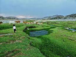 صور وادي البرداني في عسير 2020 natural landmarks nature golf courses