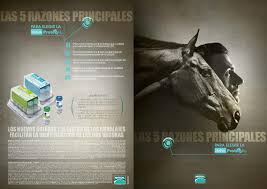 ¿qué es la encefalitis equina? Vacunacion Equina By Arabigan Issuu