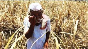Farmer Loan Waiver: अतिवृष्टी, पुरग्रस्त शेतकरी कर्जमाफीपासून वंचित? सरकारच्या त्या घोषणेने वाढली चिंता, कुणाला फायदा मिळणार? - Marathi News | Punyashlok ...