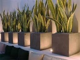 Decorar una terraza puede ser algo inspirador si sabemos cómo emplear a fondo práctica, estética y ecología. Decoracion Con Plantas Plantas En Maceta Macetas Exterior Decoracion Plantas