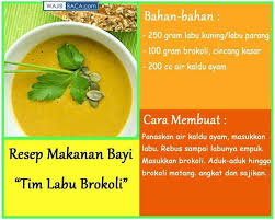 Pin Oleh Adelia Tjahjadi Di Resep Makanan Bayi 6 Bulan Makanan Bayi Resep Makanan Bayi Nutrisi