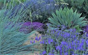 The best perennials for a utah climate yarrow. Xeriscape Design Posts Facebook