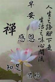 pin by kelly koo on 佛陀 good morning greetings good morning wishes morning greeting