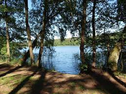 An einigen seen ist es zudem möglich, ein boot zu mieten und den urlaub nicht nur am ufer, sondern auch auf dem wasser ein ferienhaus in schweden am see ist nur eine der regionen, die gerne für einen urlaub im eigenen haus am see mit boot gemietet werden. Ferienhaus Direkt Am See In Kagar Objekt Nr 12786